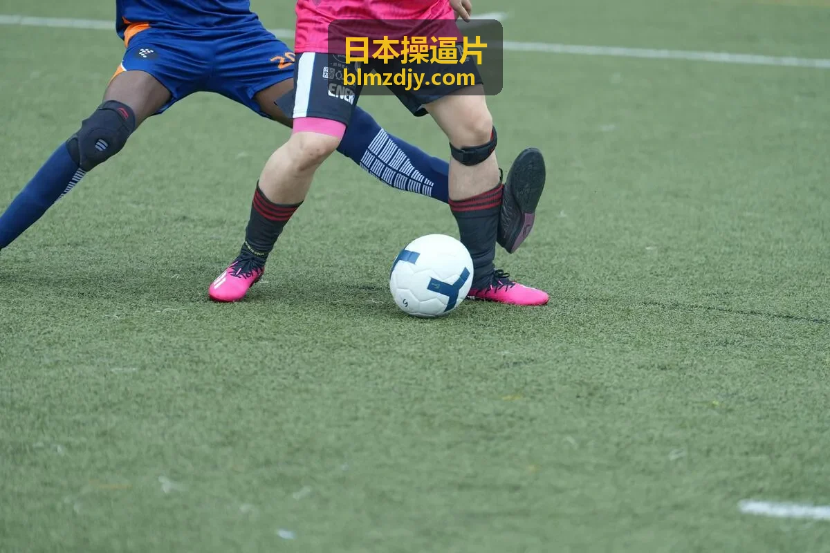 高清日本操逼片预览